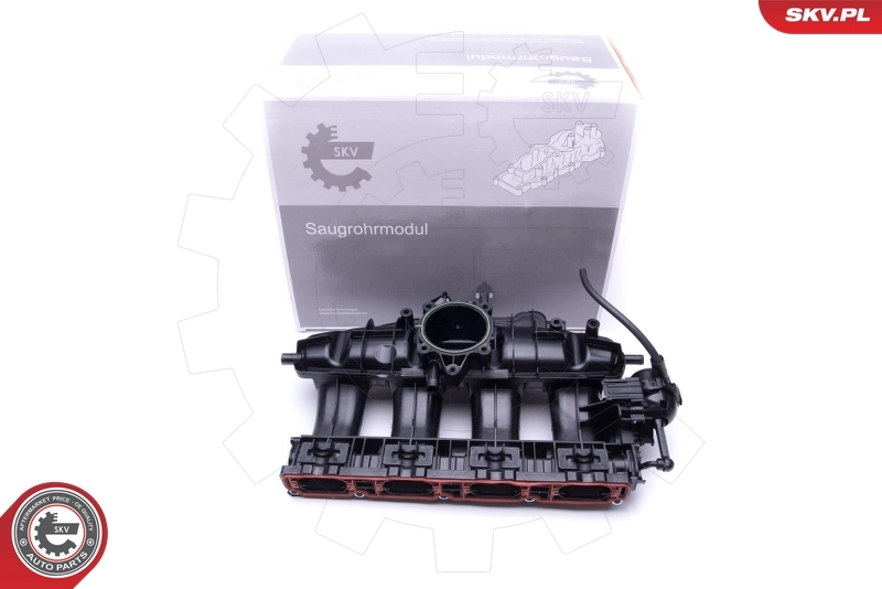 Intake Manifold Module